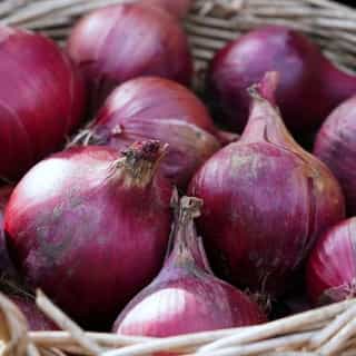 onion