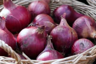 onion