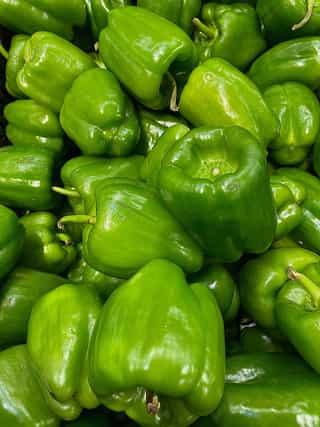 capsicum