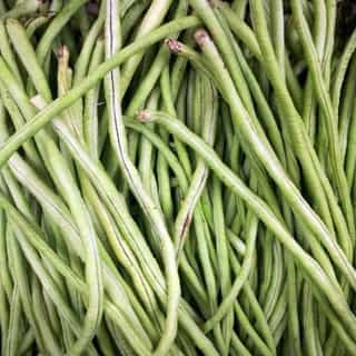 Long bean