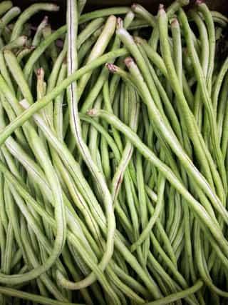 Long bean