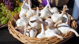 Garlic (लसुन) [Lasun]