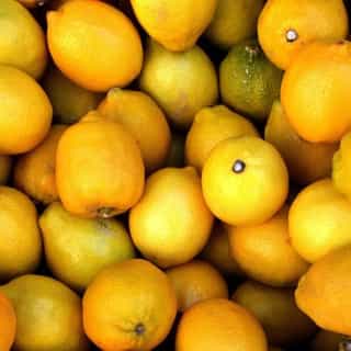 Lemon