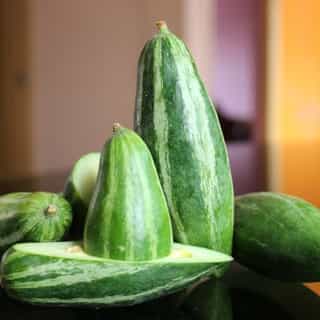 pointed gourd