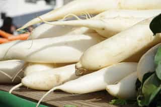 radish