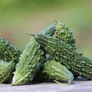 Green Bitter Gourd