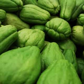 Chayote Squash