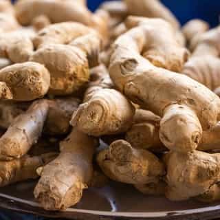 Ginger