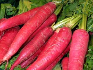 Red Radish