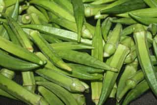 Lady Finger